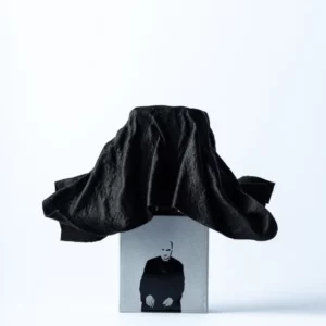 Filippo Sorcionelli Io Non Ho Mani Che…. - Image 2